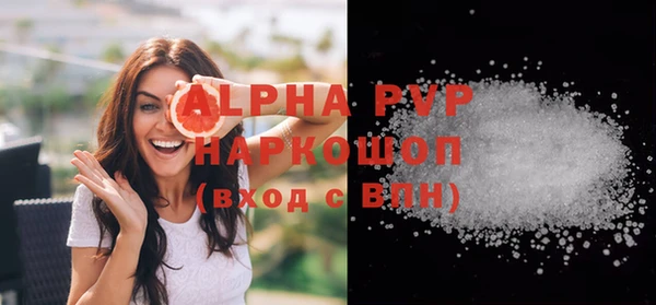хмурый Белокуриха
