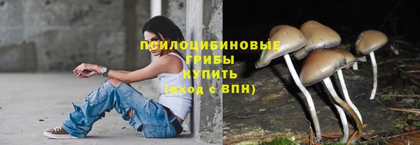 хмурый Белокуриха
