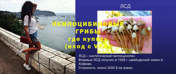 хмурый Белокуриха