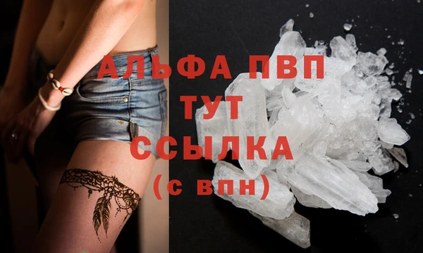 хмурый Белокуриха