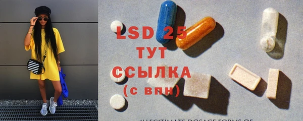 хмурый Белокуриха