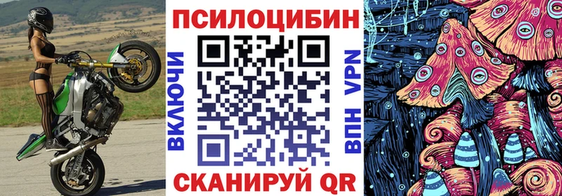 Псилоцибиновые грибы мицелий  цены   omg ONION  Болотное 